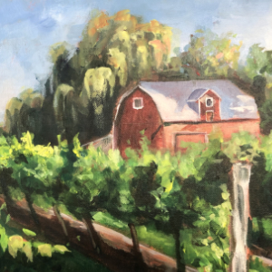 Red barn sitting in the back of a field of grape vines in Niagara on the Lake.