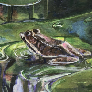 Close-up of a grey and brown frog resting on a lily pad and looking towards a large pink lily.