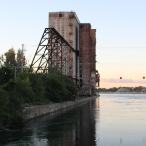 IMG_3346%20CROP