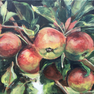 Looking up at a cluster of apples growing on a tree.